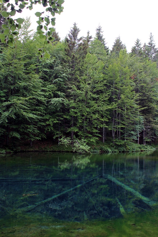 Riserva Naturale Orientata Agoraie di Sopra  Moggetto